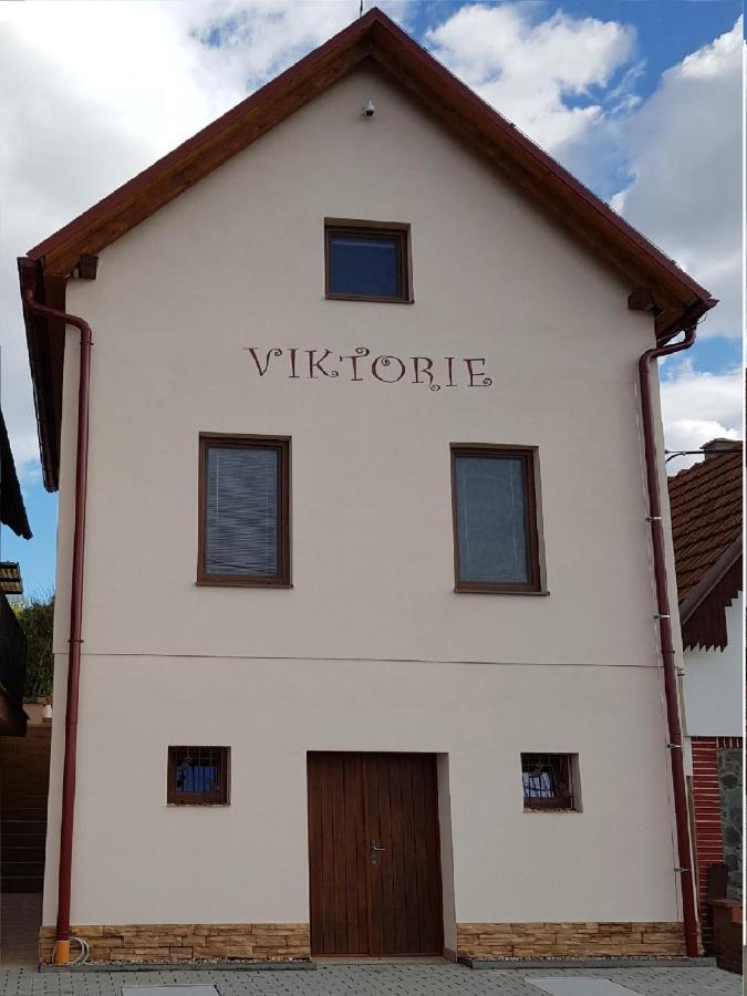 Apartman S Vinnym Sklepem Viktorie Pouzdrany Zewnętrze zdjęcie