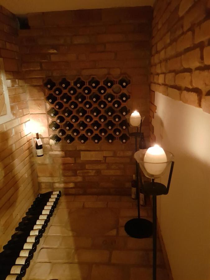 Apartman S Vinnym Sklepem Viktorie Pouzdrany Zewnętrze zdjęcie