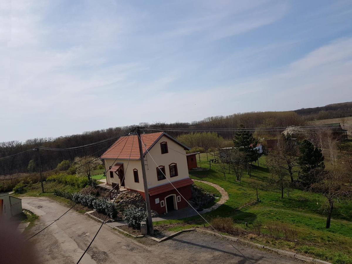 Apartman S Vinnym Sklepem Viktorie Pouzdrany Zewnętrze zdjęcie