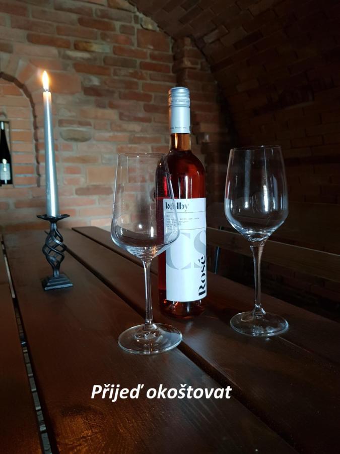 Apartman S Vinnym Sklepem Viktorie Pouzdrany Zewnętrze zdjęcie